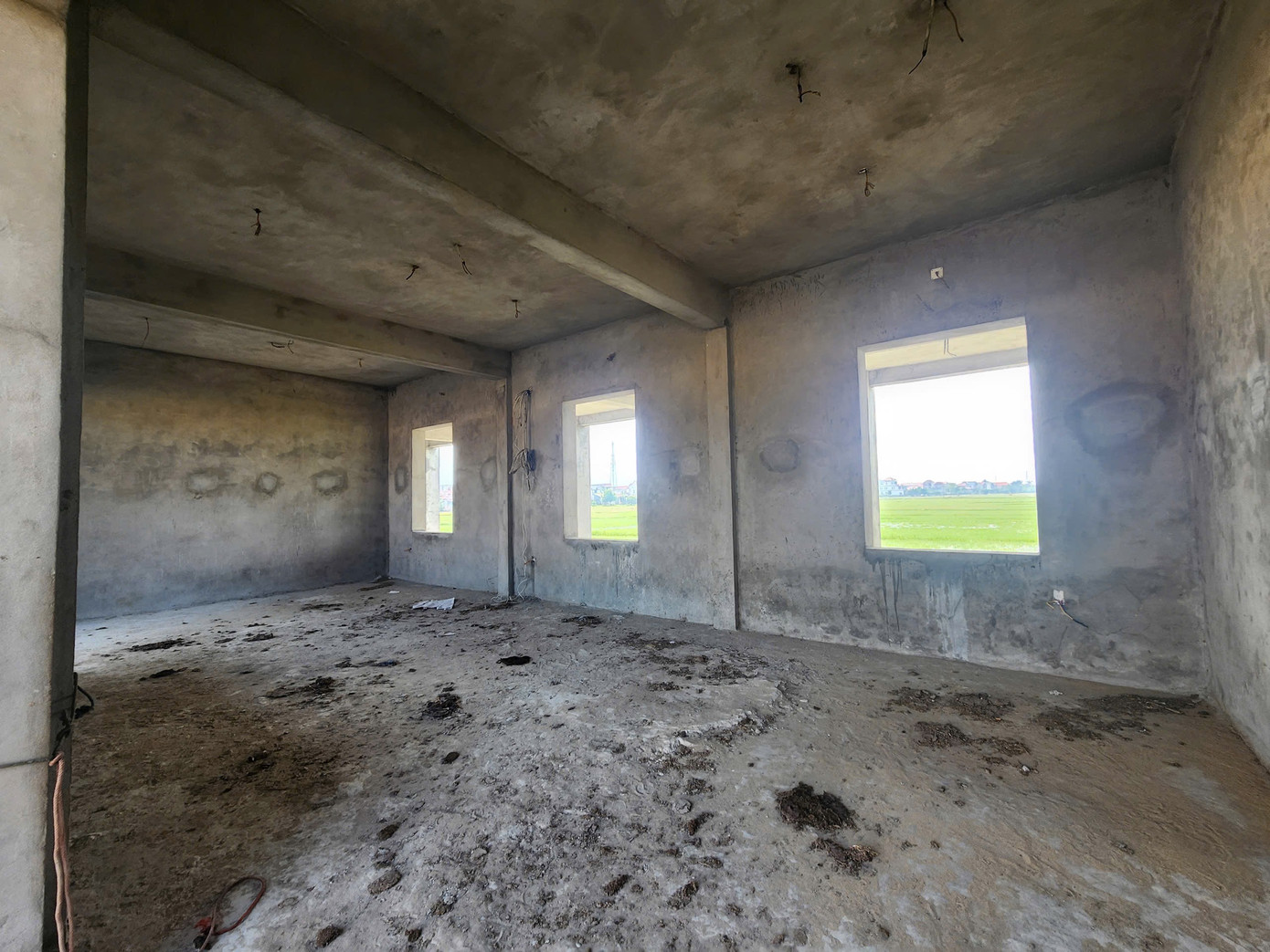 Người dân đưa bò vào tránh lũ lụt nên phân bò vương vãi khắp nơi.