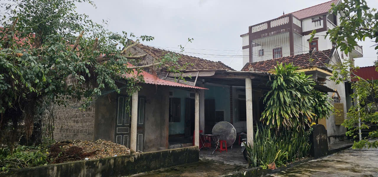 Khu đất hương hoả của người nhà họ Dương đã xập xệ, nhưng không thể sửa chữa để thờ cúng tổ tiên, vì gặp phải sự ngăn cản của cháu ngoại. Khu đất hương hoả của người nhà họ Dương đã xập xệ, nhưng không thể sửa chữa để thờ cúng tổ tiên, vì gặp phải sự ngăn cản của cháu ngoại.