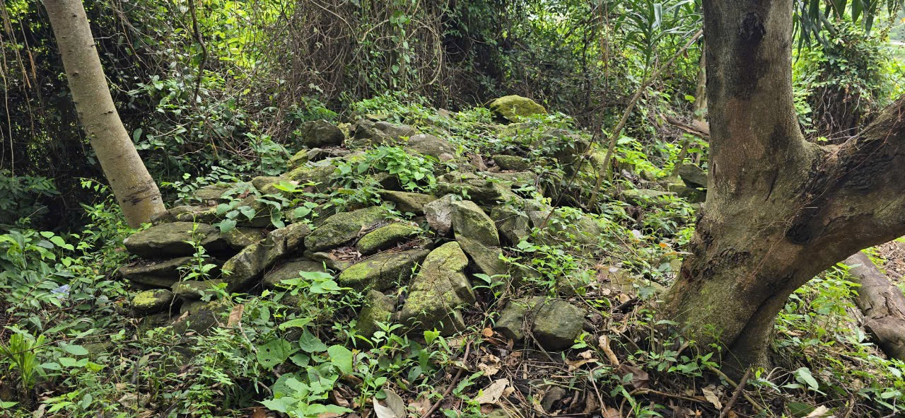 Những ngôi mộ cổ có nấm mồ bằng đá xếp chồng lên nhau. Những ngôi mộ cổ có nấm mồ bằng đá xếp chồng lên nhau.