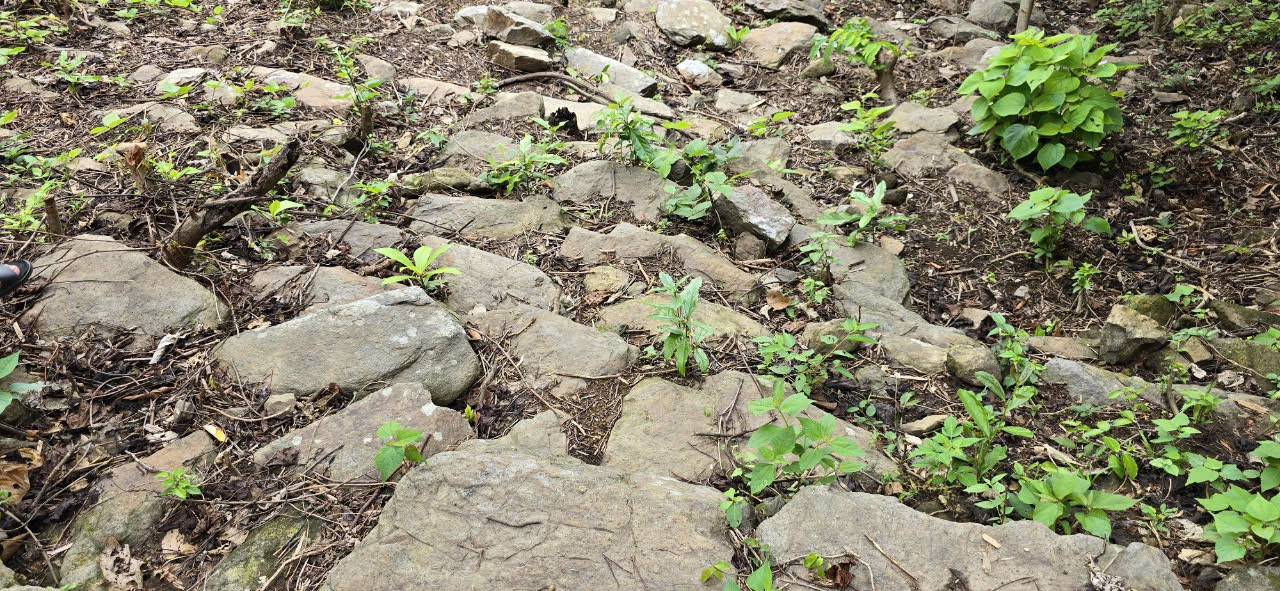 Con đường vừa phát lộ rêu phong, cổ kính sau hàng trăm năm tồn tại. Con đường vừa phát lộ rêu phong, cổ kính sau hàng trăm năm tồn tại.