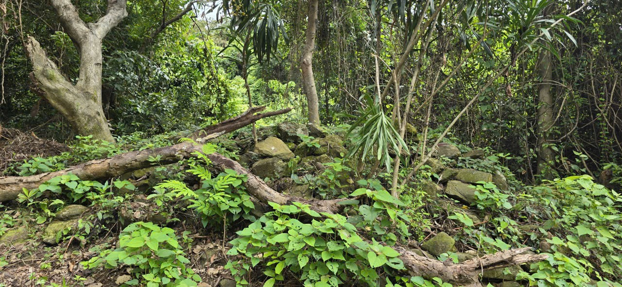 Những ngôi mộ cổ có nấm mồ bằng đá xếp chồng lên nhau. Những ngôi mộ cổ có nấm mồ bằng đá xếp chồng lên nhau.