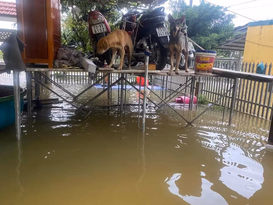Phương án chống lụt của một hộ gia đình ở huyện Quảng Ninh.