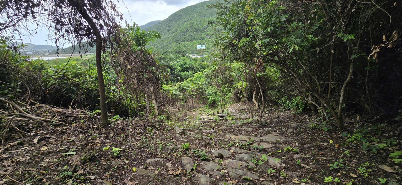 Con đường vừa phát lộ rêu phong, cổ kính sau hàng trăm năm tồn tại. Con đường vừa phát lộ rêu phong, cổ kính sau hàng trăm năm tồn tại.