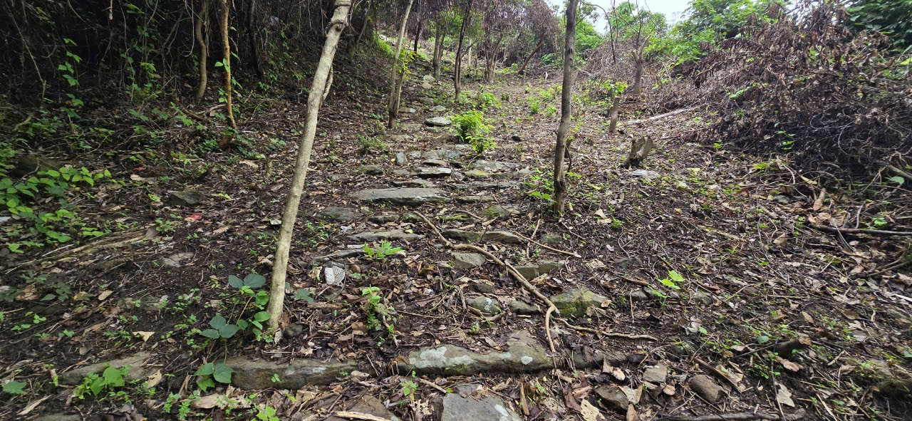 Việc phát lộ con đường có ý nghĩa về lịch sử, văn hóa. Việc phát lộ con đường có ý nghĩa về lịch sử, văn hóa.