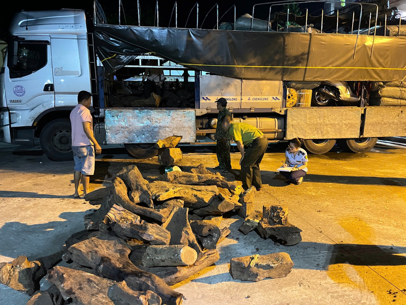 Hơn 1,5 tấn gỗ cẩm lai bị bắt giữ.