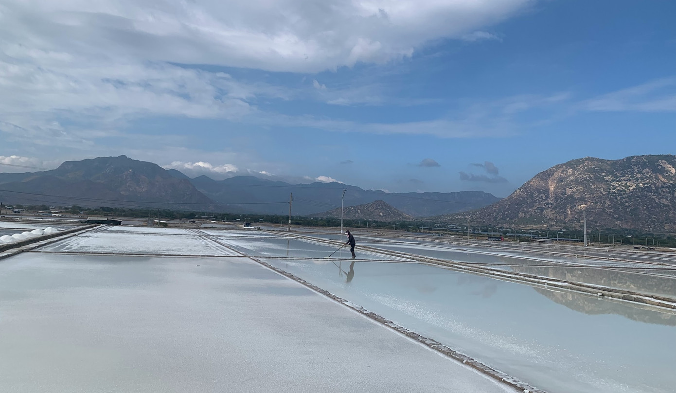 Cánh đồng muối xã Tri Hải dưới cái nắng “như rang”. Cánh đồng muối xã Tri Hải dưới cái nắng “như rang”.