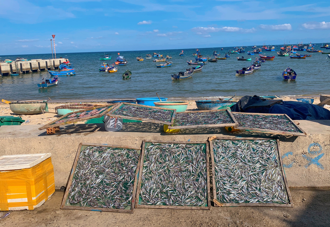 Dọc theo bờ biển ta có thể bắt gặp được những mẻ cá tươi được người dân phơi đón nắng. Dọc theo bờ biển ta có thể bắt gặp được những mẻ cá tươi được người dân phơi đón nắng.