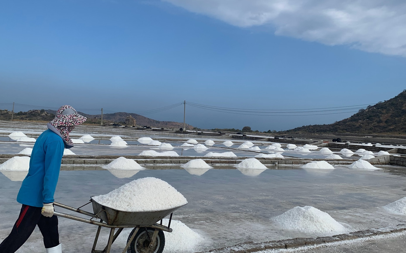 Muối được vận chuyển từ ruộng. Muối được vận chuyển từ ruộng.