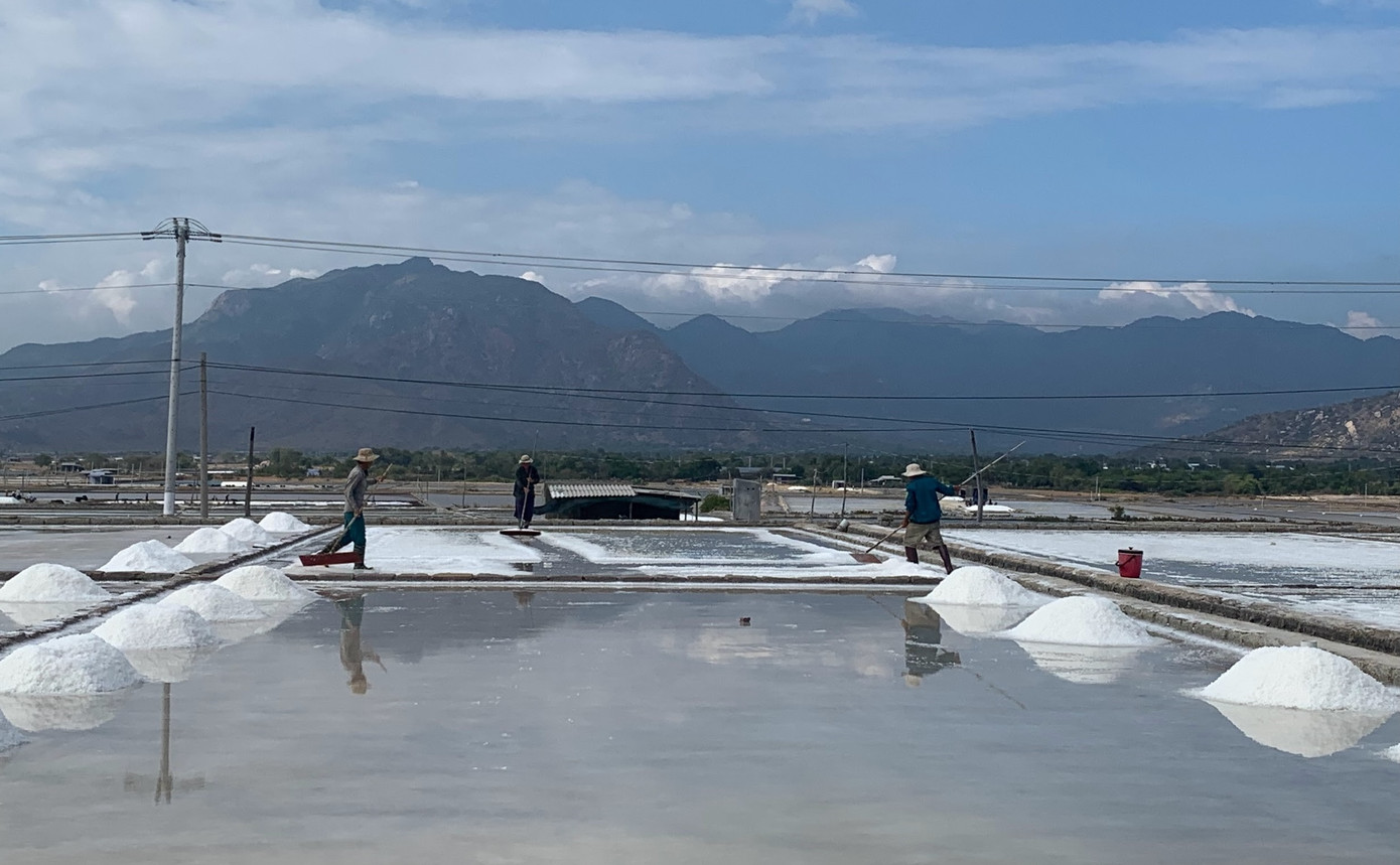 Công việc làm ra hạt muối rất nhọc nhằn của diêm dân huyện Ninh Hải. Công việc làm ra hạt muối rất nhọc nhằn của diêm dân huyện Ninh Hải.