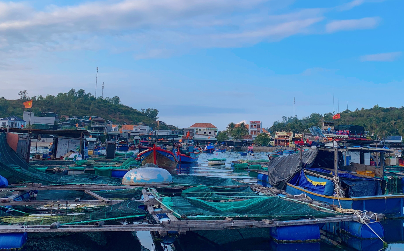 Đảo Trí Nguyên đang dần phát triển hiện đại hơn và được nhiều người biết đến hơn, khi mà mạng xã hội phát triển mạnh như ngày nay. Khi đến với Đảo Trí Nguyên, du khách có thể trải nghiệm chuyến du lịch bụi trải nghiệm cuộc sống người dân tại đảo, thưởng thức cảnh đẹp của biển cả với những bãi cát trắng, không khí trong lành cùng với thưởng thức các món hải sản tươi ngon. Ngoài ra còn có thể tham gia tắm và lặn biển, tận hưởng bình minh và hoàng hôn trên biển.