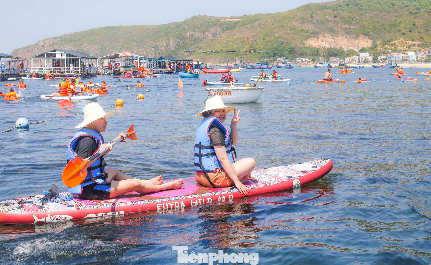 Một thành viên của Tổ bảo vệ rạn san hô xã Nhơn Hải đang quản lý, hướng dẫn du khách trải nghiệm lặn ngắm san hô, rong mơ - cho biết, cao điểm ngày cuối tuần ước khoảng 500 - 600 lượt khách đến tham quan, du lịch. Ảnh: Trương Định.