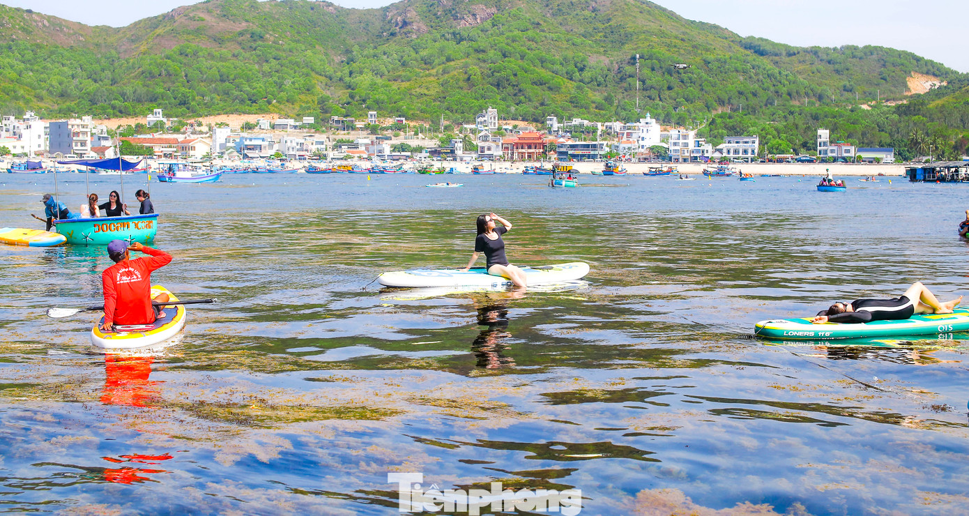 Chị Hoa (44 tuổi), du khách đến từ Bình Dương đang có chuyến du lịch cùng gia đình ở Bình Định chia sẻ rất thích thú khi được ngắm nhìn vẻ đẹp hoang sơ của Hòn Khô. Đặc biệt, ngày đầu hè, được hòa mình vào làn nước biển trong xanh, tự tay chèo sup ngắm nhìn cánh đồng rong mơ đem lại một cảm giác rất tuyệt vời. Ảnh: Trương Định.