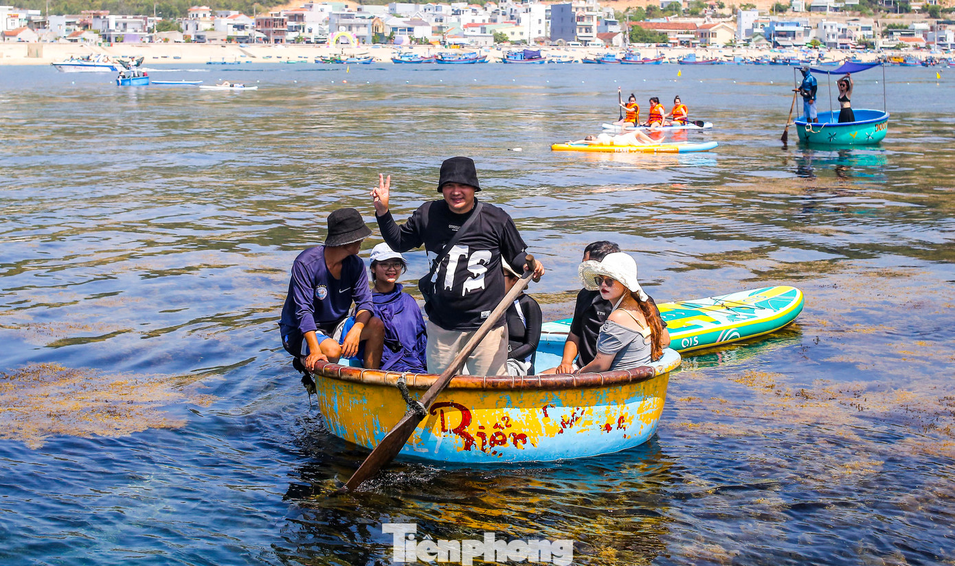 Theo ghi nhận của Tiền Phong, du khách đến Hòn Khô để chiêm ngưỡng vẻ đẹp thiên nhiên ban tặng. Những thông tin, hình ảnh đẹp về “cánh đồng vàng” trên mặt biển được chia sẻ trên mạng xã hội khiến ai nấy háo hức, khi du lịch đến Bình Định thời điểm này không thể bỏ lỡ cơ hội đến check-in nơi đây. Ảnh: Trương Định.