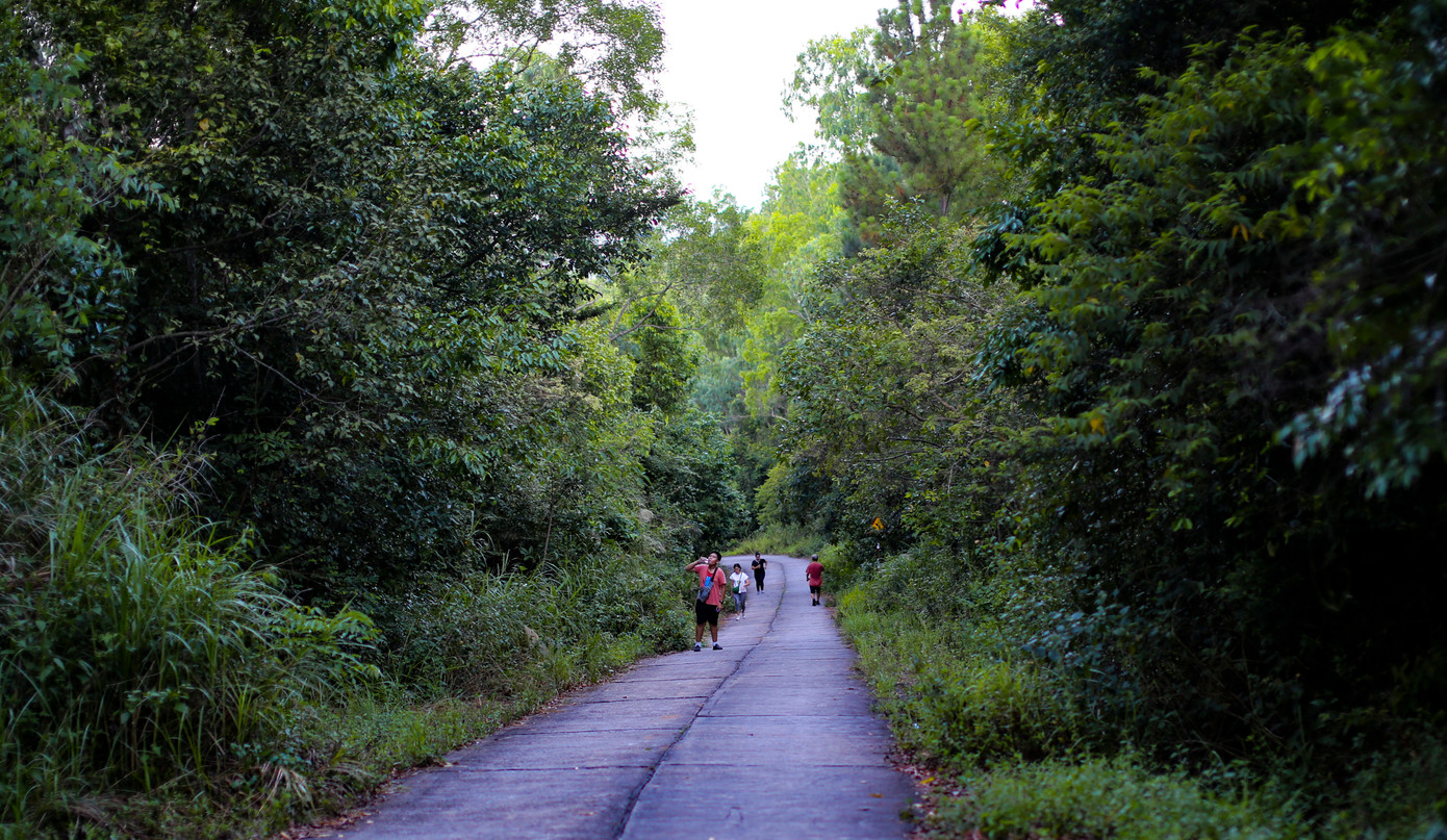 Người leo núi Vũng Chua tập thể dục và ngắm cảnh.