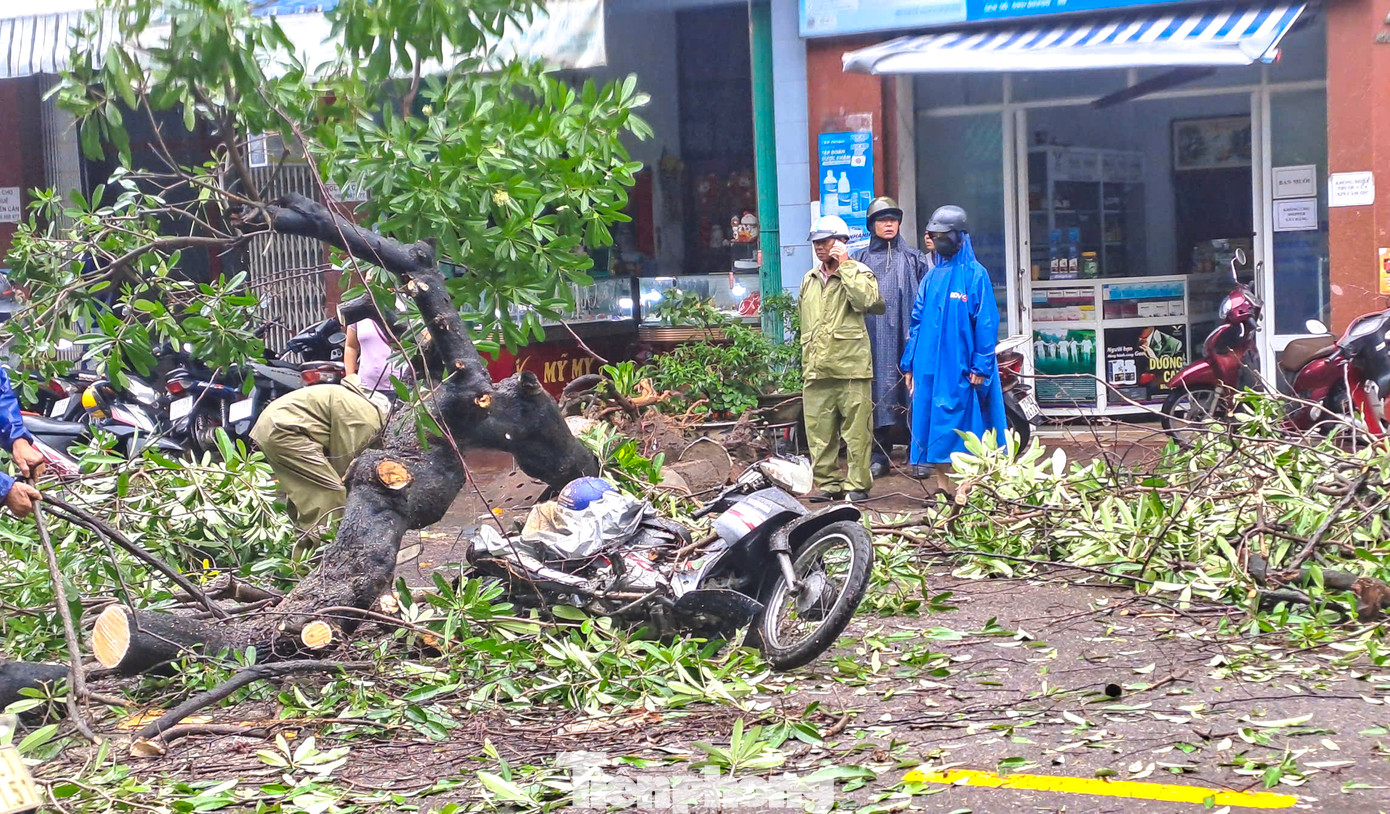 Chiếc xe của người đi đường bị đè trúng. Ảnh: Trương Định.