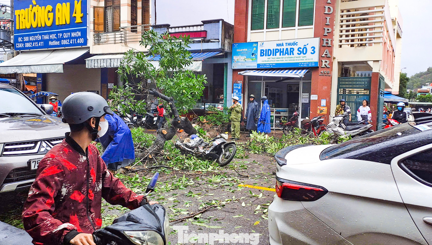 Thân cây ngã đè trúng xe máy người đi đường. Ảnh: Trương Định.
