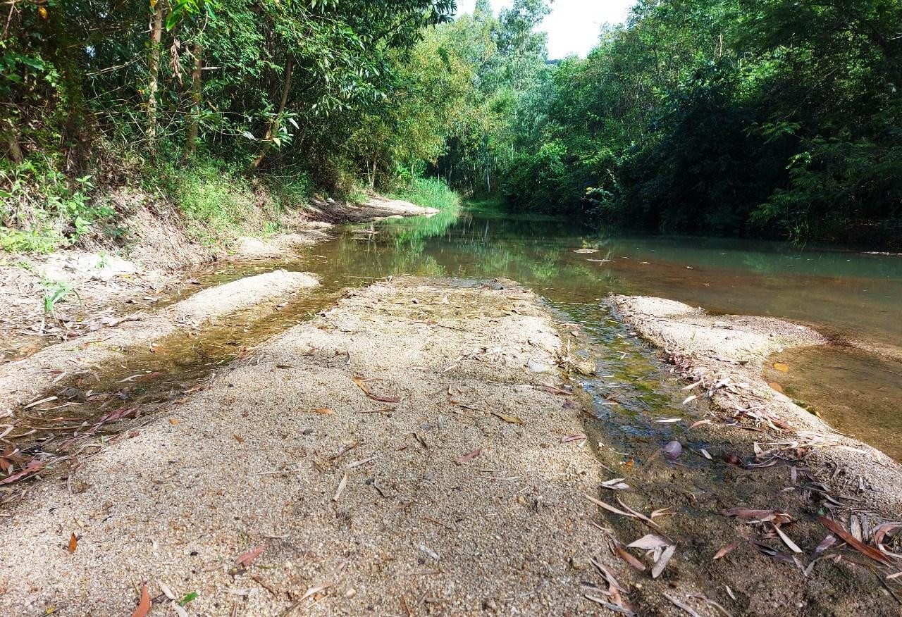 Đường vào khu vực suối Lồ Lùng