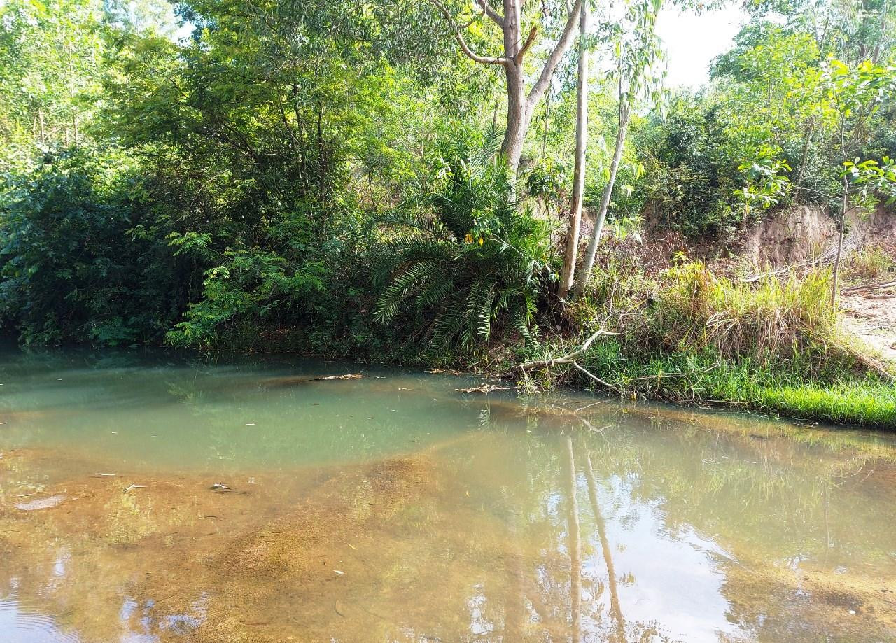 Những hố sâu trên khu vực suối.