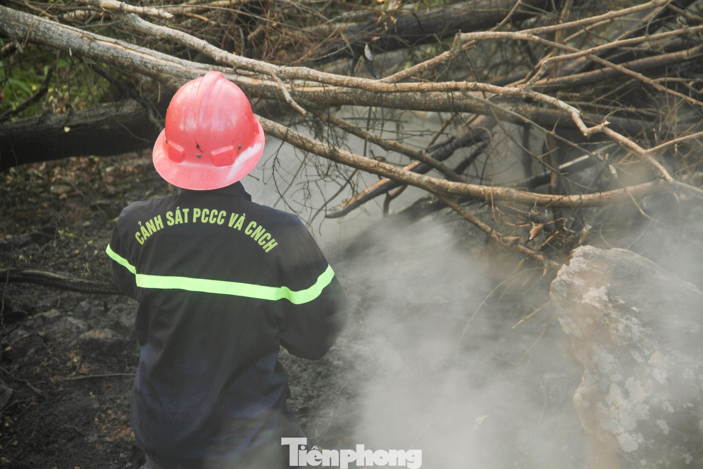 Ông Trần Nguyên Tú - Chủ tịch Công ty TNHH Lâm nghiệp Quy Nhơn – đơn vị tạm quản lý diện tích rừng, cho biết: Diện tích cháy khoảng 2.500m2 chủ yếu là cây bụi. Khu vực cháy đã được tỉnh đưa ra khỏi quy hoạch 3 loại rừng. Ảnh: Trương Định Ông Trần Nguyên Tú - Chủ tịch Công ty TNHH Lâm nghiệp Quy Nhơn – đơn vị tạm quản lý diện tích rừng, cho biết: Diện tích cháy khoảng 2.500m2 chủ yếu là cây bụi. Khu vực cháy đã được tỉnh đưa ra khỏi quy hoạch 3 loại rừng. Ảnh: Trương Định
