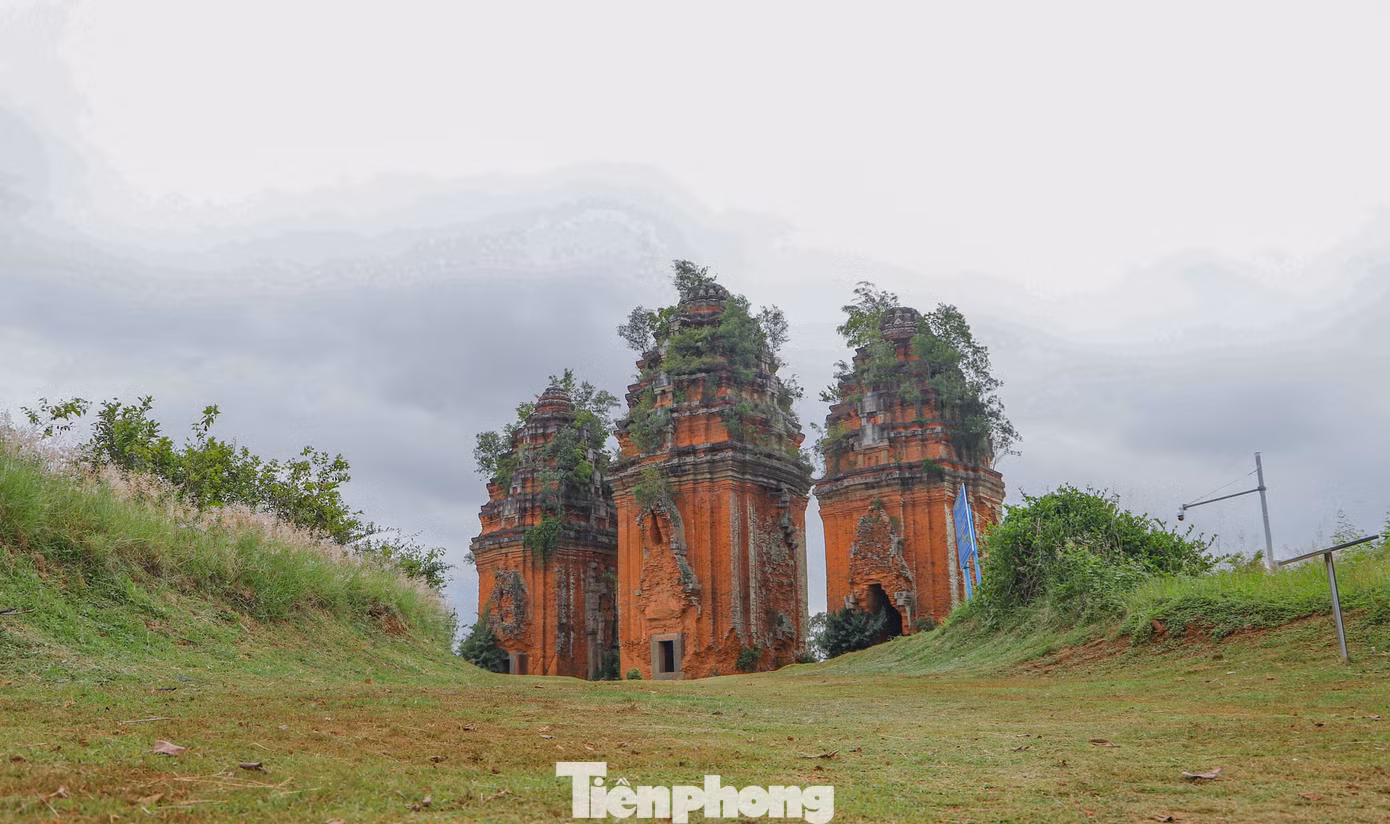 Cụm tháp Dương Long đã được Thủ tướng Chính phủ xếp hạng Di tích Quốc gia đặc biệt ngày 23/12/2015. Ảnh: Trương Định.