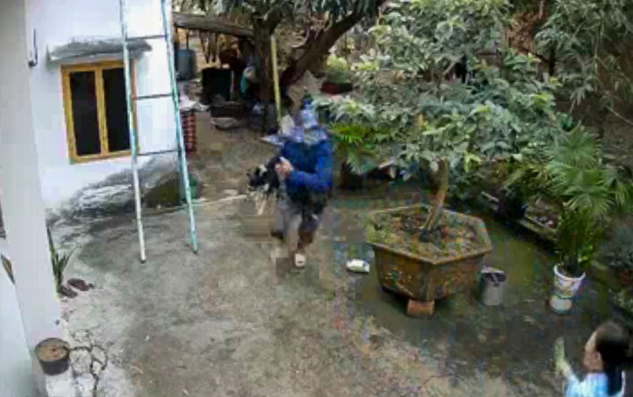 Người đàn ông cầm chó chạy ra ngoài trước sự chứng kiến của chủ nhà. Ảnh cắt từ clip