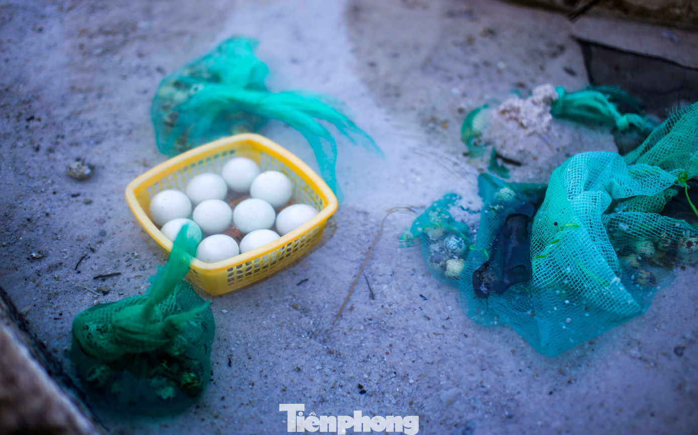 Theo người dân buôn bán tại đây, nếu khách thích ăn trứng vừa chín tới (lòng đào) thì chỉ cần luộc trong nước suối này khoảng 8 - 10 phút, còn muốn chín kỹ hơn thì luộc tầm 15-20 phút. Ảnh: Trương Định