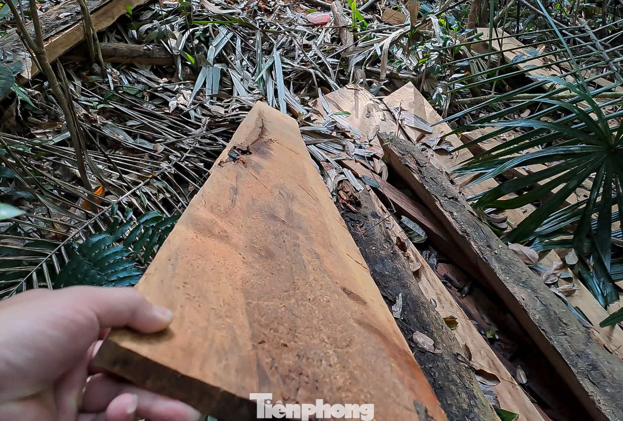 Những tấm ván gỗ còn bỏ sót lại hiện trường. Ảnh: Trương Định