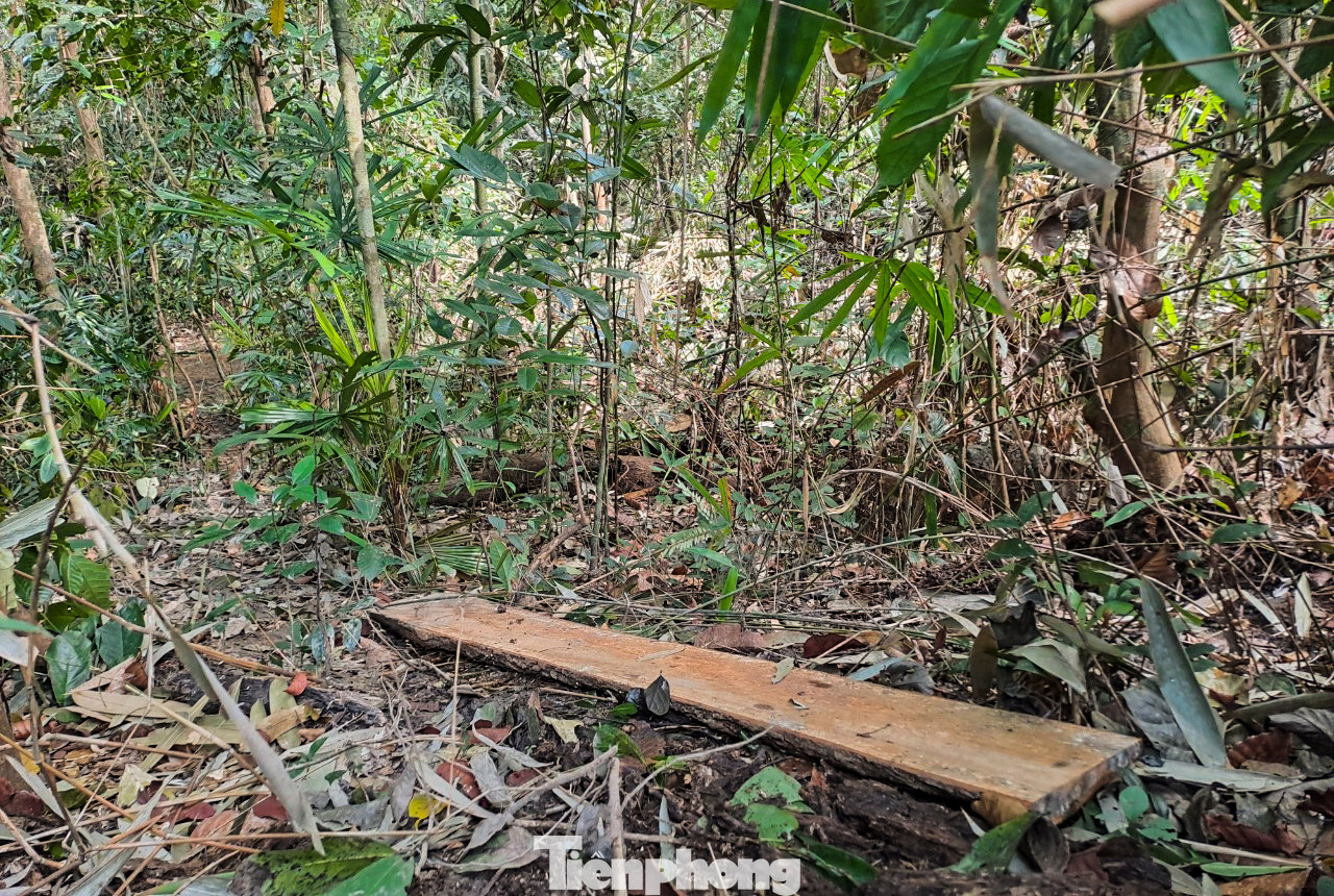 Tấm gỗ bỏ sót trên đường đi. Ảnh: Trương Định