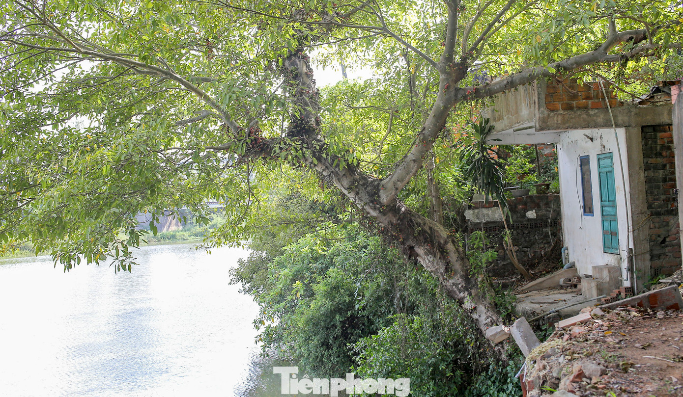 Phía sau nhà các hộ dân là mênh mông sông nước. Mỗi khi nghe tin bão lụt là họ lại dắt díu đến nhà người thân để trú tạm, bởi lo sợ sạt lở. Ảnh: Trương Định