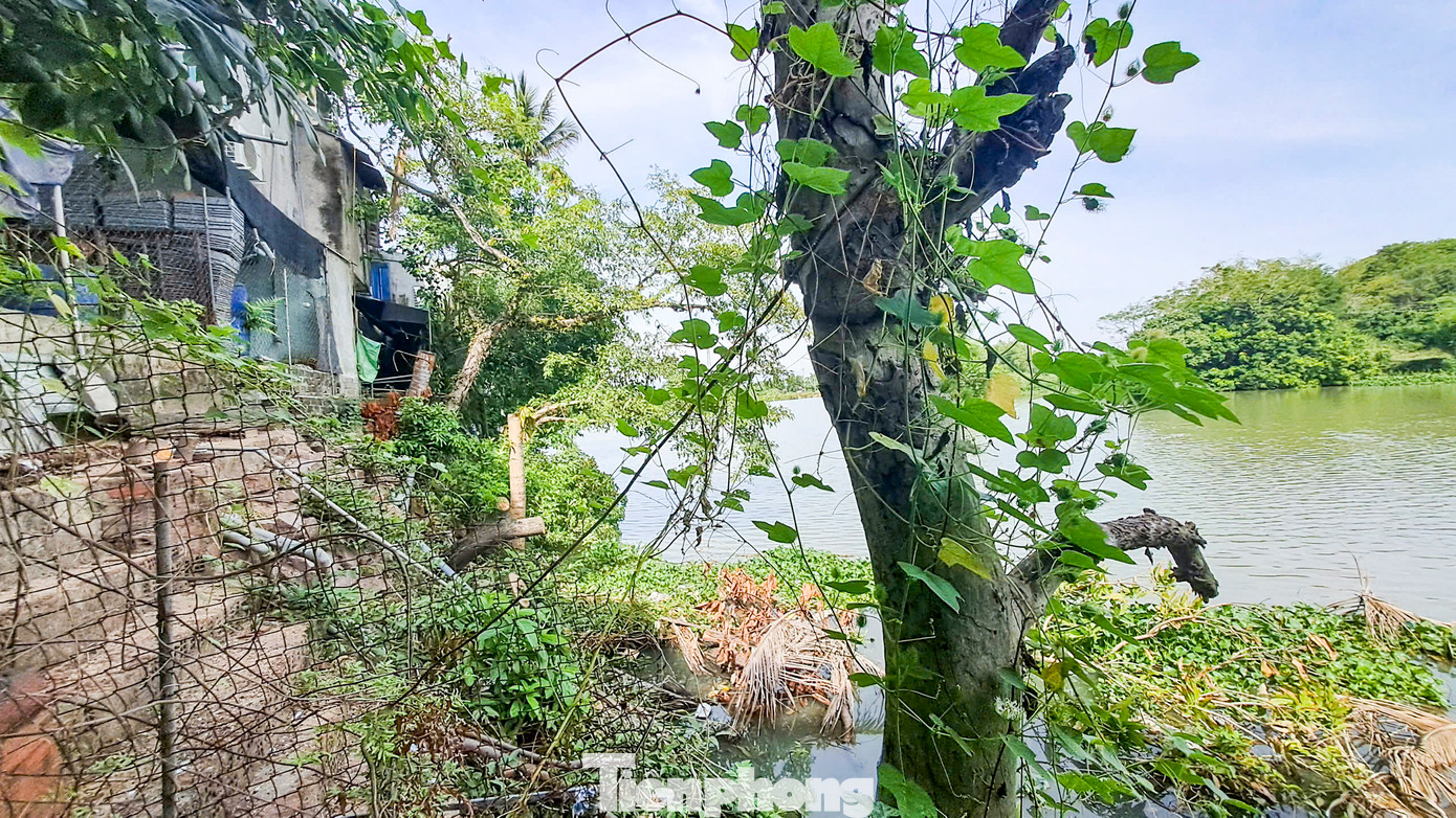 Qua các trận lũ, các hộ gia đình phải bỏ gần trăm triệu đồng để gia cố lại kè phía sau nhà, nhưng cũng không mấy hiệu quả. Ảnh: Trương Định