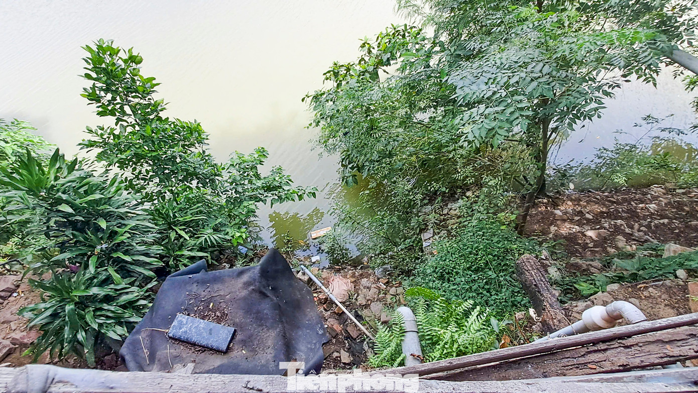 Những ngôi nhà nằm sát mép nước. Ảnh: Trương Định