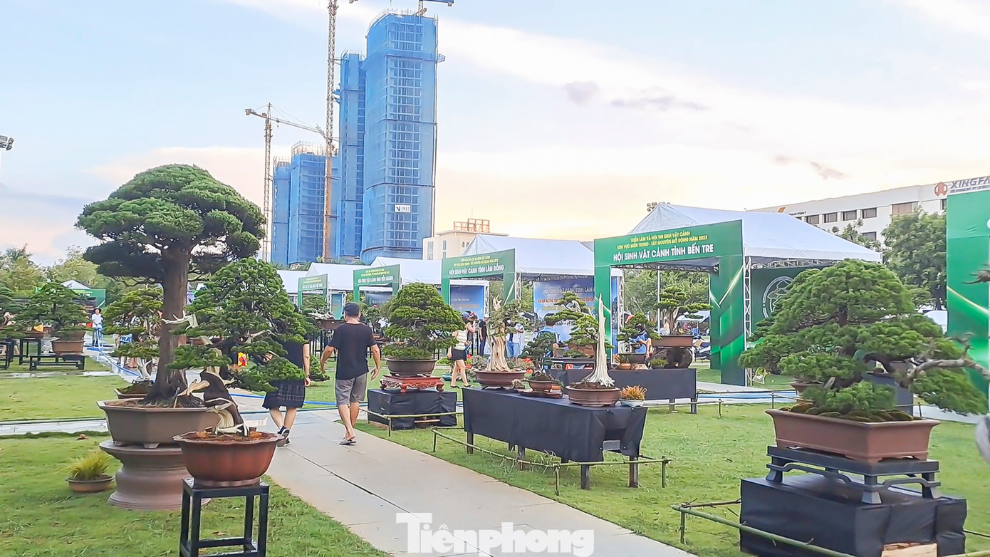 Chương trình thu hút nhiều đơn vị, tổ chức hội, CLB, trung tâm, nhà vườn ở nhiều tỉnh, thành phố trong cả nước đăng ký tham gia với hàng nghìn tác phẩm, sản phẩm SVC đa chủng loại. (Ảnh: Trương Định)