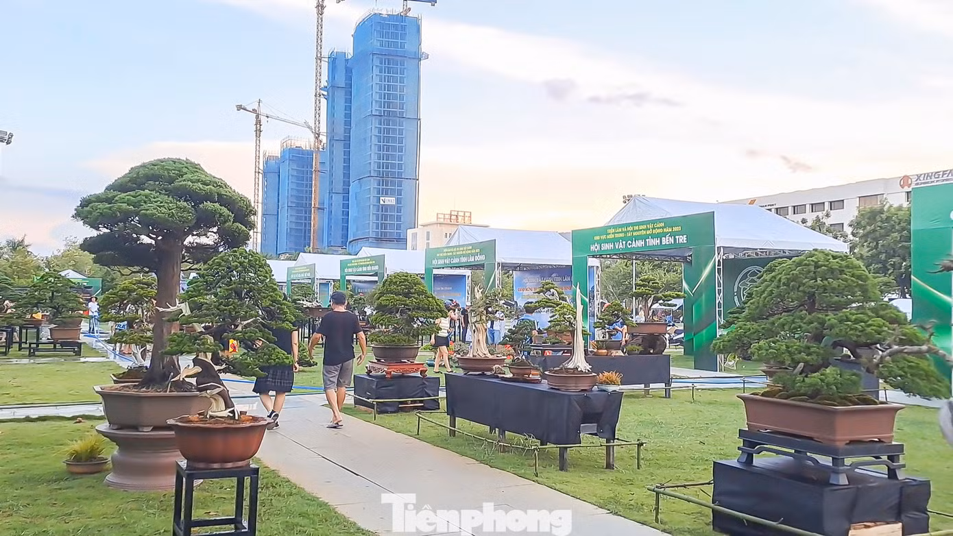 Chương trình thu hút nhiều đơn vị, tổ chức hội, CLB, trung tâm, nhà vườn ở nhiều tỉnh, thành phố trong cả nước đăng ký tham gia với hàng nghìn tác phẩm, sản phẩm SVC đa chủng loại. (Ảnh: Trương Định)