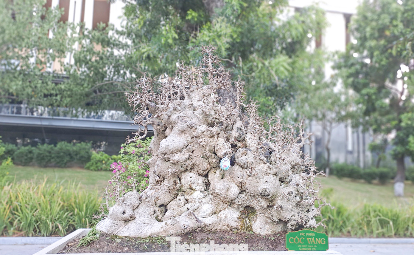 Một số tác phẩm độc đáo, đẹp mắt quy tụ về triển lãm. (Ảnh: Trương Định).