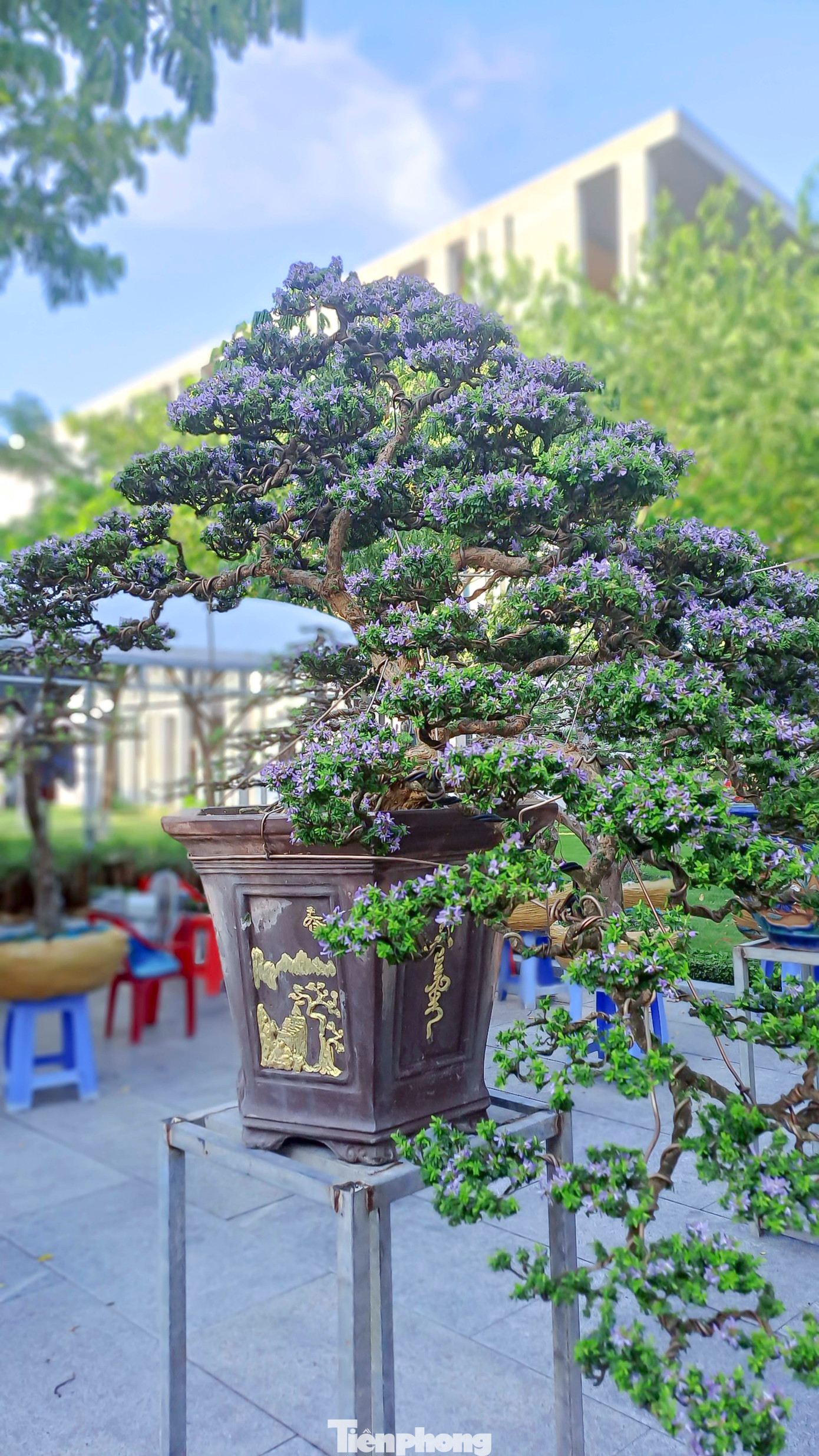 Triển lãm là sự kiện chào mừng kỷ niệm 78 năm Cách mạng Tháng Tám và Quốc khánh 2/9. (Ảnh: Trương Định).