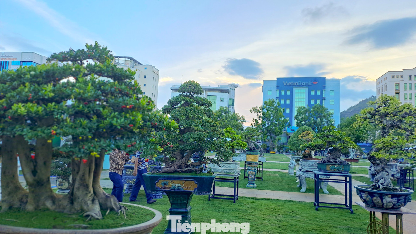 Đây là triển lãm có quy mô lớn nhất từ trước đến nay, lần đầu tiên có sự tham gia của đầy đủ các chủng loại sản phẩm SVC, như: Cây cảnh, hoa cảnh, cá cảnh, đá cảnh, đá phong thủy, đá mỹ nghệ, chim, gà cảnh, tiểu cảnh và không gian sắp đặt. (Ảnh: Trương Định).