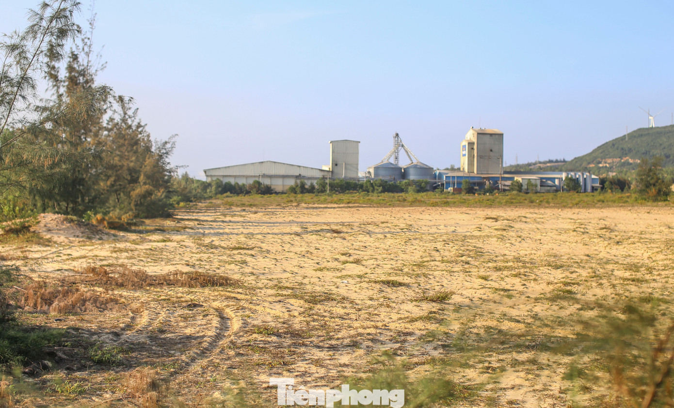 Trải qua 18 năm, dự án đầu tư xây dựng và kinh doanh hạ tầng kỹ thuật Khu Công nghiệp Nhơn Hội - Khu B tại tỉnh Bình Định chỉ là bãi cát hoang vắng, vỏn vẹn 2 nhà đầu tư đến thuê lại 23ha. Ảnh: Trương Định.