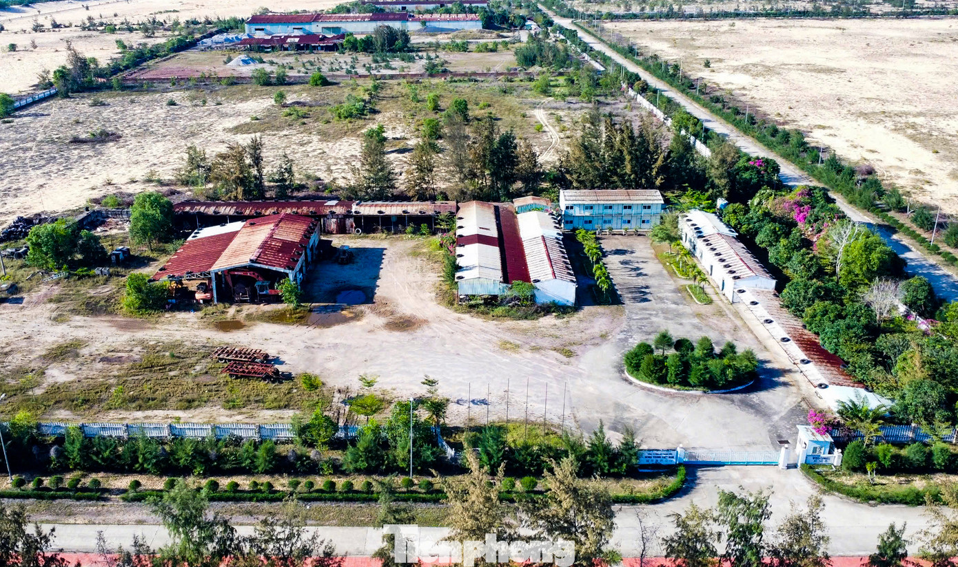 Trụ sở Công ty TNHH MTV Hong Yeung Việt Nam thuộc khu Kinh tế Nhơn Hội. Ảnh: Trương Định.