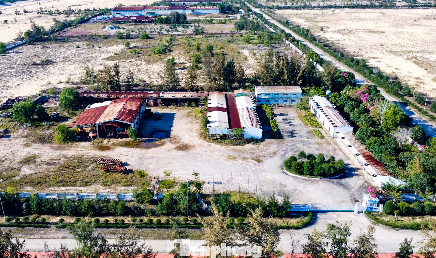 Trụ sở Công ty TNHH MTV Hong Yeung Việt Nam thuộc khu Kinh tế Nhơn Hội. Ảnh: Trương Định.