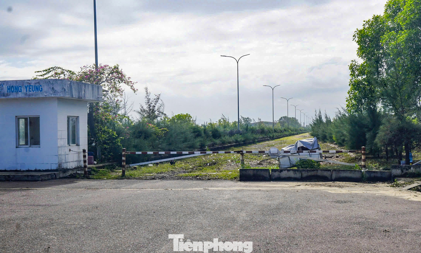 Với thực trạng trên, UBND tỉnh Bình Định đã có văn bản xin ý kiến Bộ Công an về việc thu hồi đất dự án này do vi phạm luật đất đai. Ảnh: Trương Định.