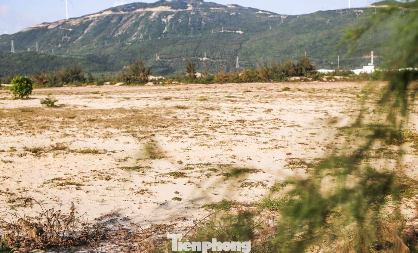 Trải qua 18 năm, dự án đầu tư xây dựng và kinh doanh hạ tầng kỹ thuật Khu Công nghiệp Nhơn Hội - Khu B tại tỉnh Bình Định chỉ là bãi cát hoang vắng, vỏn vẹn 2 nhà đầu tư đến thuê lại 23ha. Ảnh: Trương Định.