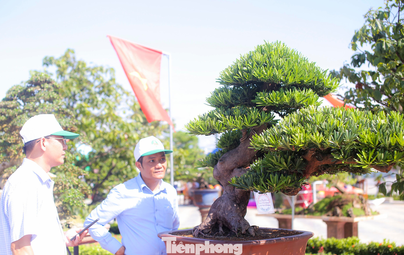 Triển lãm nhằm chào mừng Đại hội đại biểu Hội Sinh vật cảnh huyện Hoài Ân lần thứ I, diễn ra hôm 16/5, và cũng là một trong chuỗi các sự kiện tại Ngày hội Nông sản lần thứ II, do UBND huyện Hoài Ân tổ chức. Ảnh: T.Đ
