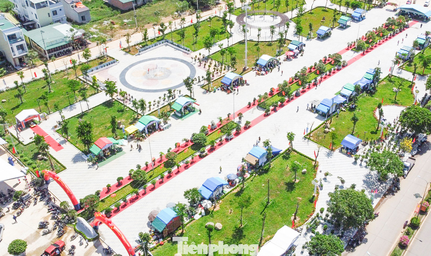 Công viên phố đi bộ thị trấn Tăng Bạt Hổ nơi trưng bày các tác phẩm bonsai, cũng là nơi diễn ra Ngày hội Nông sản lần II năm 2024, huyện Hoài Ân (Bình Định). Ảnh: C.Đ