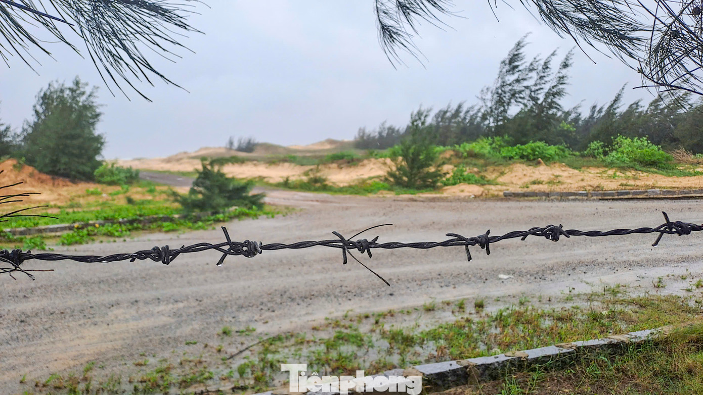 Bên trong dự án vẫn chỉ là một bãi cát trắng. Ảnh: Trương Định. Bên trong dự án vẫn chỉ là một bãi cát trắng. Ảnh: Trương Định.