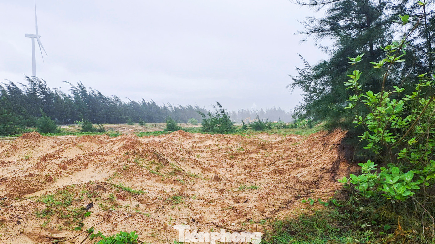 Trao đổi với PV, ông Cao Thanh Thương - Phó trưởng Ban Quản lý Khu Kinh tế tỉnh Bình Định - cho biết, hiện nay phía doanh nghiệp chưa động thái gì. Dự án đang tạm dừng hoạt động và chờ đúng thời hạn xử lý thu hồi theo quy định của pháp luật. Ảnh: Trương Định. Trao đổi với PV, ông Cao Thanh Thương - Phó trưởng Ban Quản lý Khu Kinh tế tỉnh Bình Định - cho biết, hiện nay phía doanh nghiệp chưa động thái gì. Dự án đang tạm dừng hoạt động và chờ đúng thời hạn xử lý thu hồi theo quy định của pháp luật. Ảnh: Trương Định.