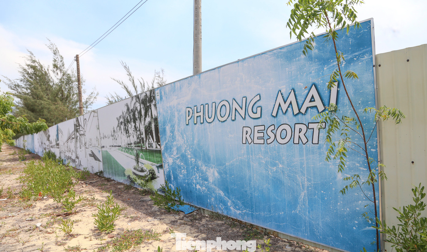 Dự án Phương Mai Bay Resort chủ đầu tư thực hiện là Công ty CP Phương Mai Bay. Dự án được UBND tỉnh Bình Định chấp thuận chủ trương đầu tư vào ngày 10/9/2018, sau đó điều chỉnh chủ trương vào tháng 9/2021. Ảnh: Trương Định. Dự án Phương Mai Bay Resort chủ đầu tư thực hiện là Công ty CP Phương Mai Bay. Dự án được UBND tỉnh Bình Định chấp thuận chủ trương đầu tư vào ngày 10/9/2018, sau đó điều chỉnh chủ trương vào tháng 9/2021. Ảnh: Trương Định.