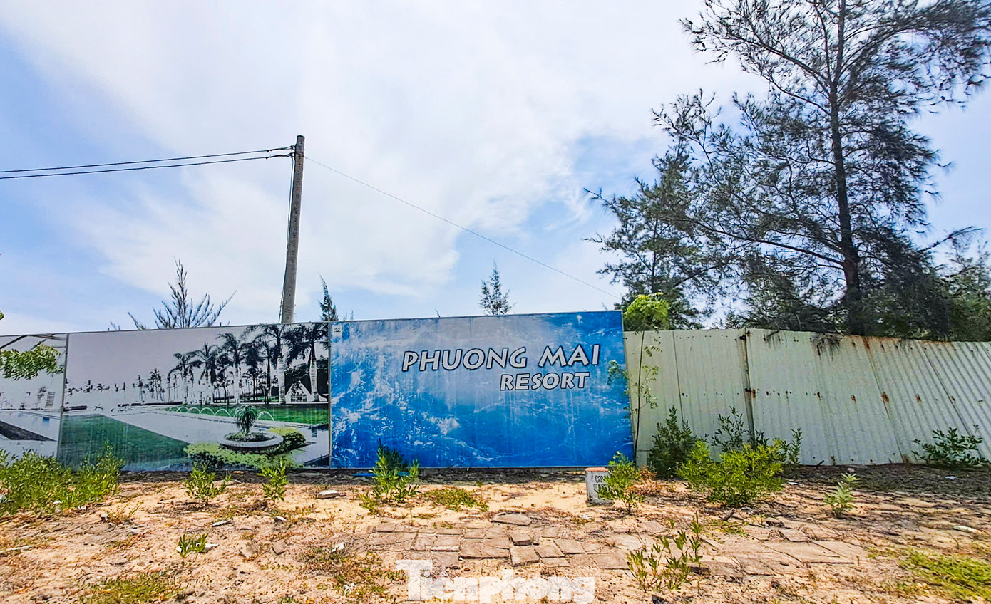 Dự án Phương Mai Bay Resort có diện tích hơn 30 ha, được xem là tổ hợp nghỉ dưỡng, du lịch, giải trí đẳng cấp tầm cỡ quốc tế, sở hữu eo biển tuyệt đẹp tại bãi biển Khu Kinh tế Nhơn Hội. Ảnh: Trương Định. Dự án Phương Mai Bay Resort có diện tích hơn 30 ha, được xem là tổ hợp nghỉ dưỡng, du lịch, giải trí đẳng cấp tầm cỡ quốc tế, sở hữu eo biển tuyệt đẹp tại bãi biển Khu Kinh tế Nhơn Hội. Ảnh: Trương Định.