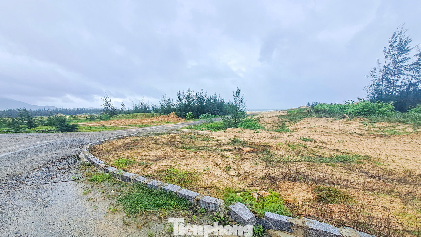 Theo Quyết định của UBND tỉnh Bình Định, tháng 7/2018 - 12/2021 dự án hoàn thành các thủ tục về đầu tư xây dựng, môi trường và các thủ tục liên quan; tháng 12/2021 - 12/2022 triển khai thi công hạ tầng và khu villa 01. Ảnh: Trương Định. Theo Quyết định của UBND tỉnh Bình Định, tháng 7/2018 - 12/2021 dự án hoàn thành các thủ tục về đầu tư xây dựng, môi trường và các thủ tục liên quan; tháng 12/2021 - 12/2022 triển khai thi công hạ tầng và khu villa 01. Ảnh: Trương Định.