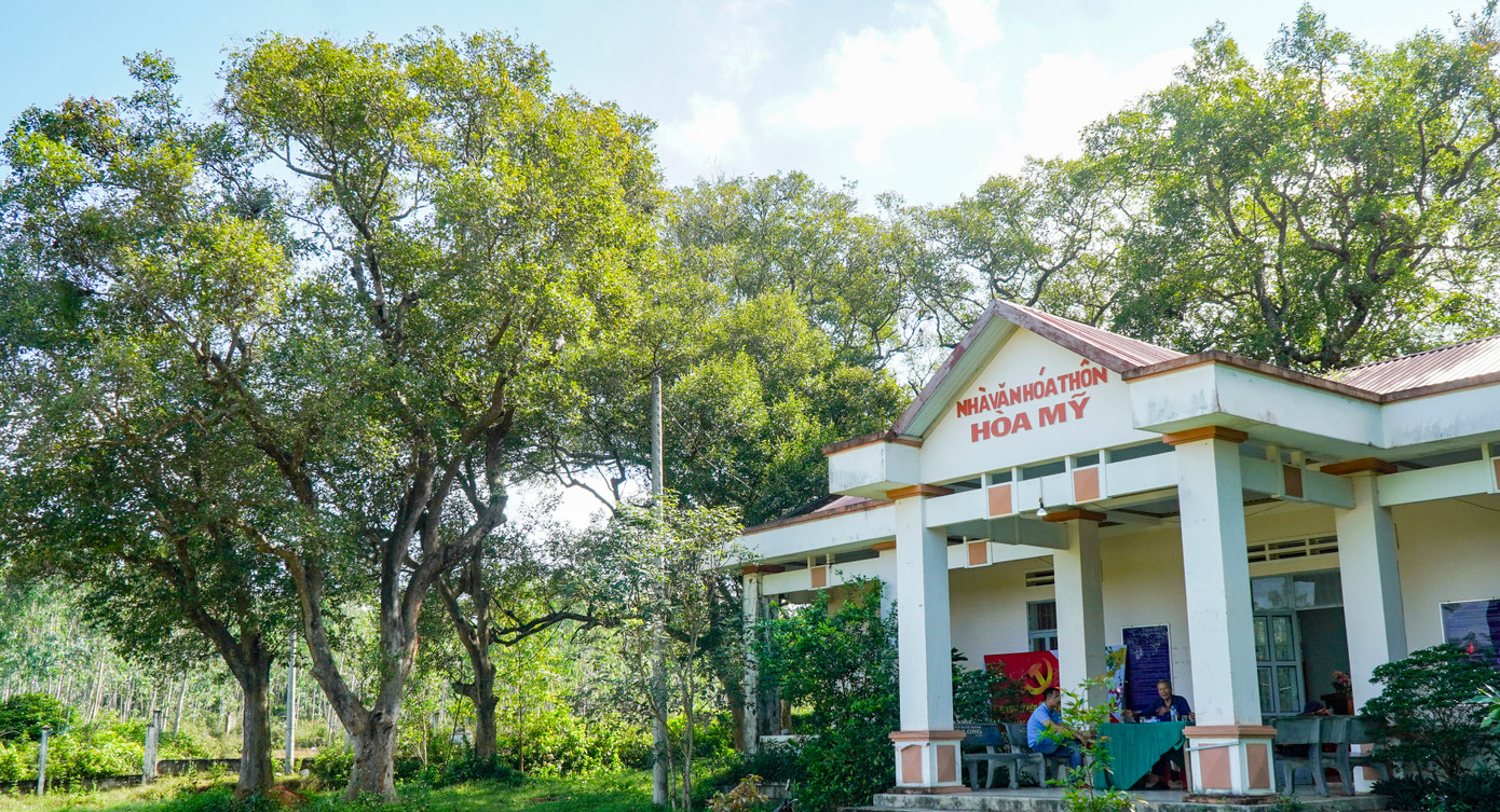 Rừng cây Kơ nia bên cạnh nhà văn hóa thôn Hòa Mỹ. Rừng cây Kơ nia bên cạnh nhà văn hóa thôn Hòa Mỹ.