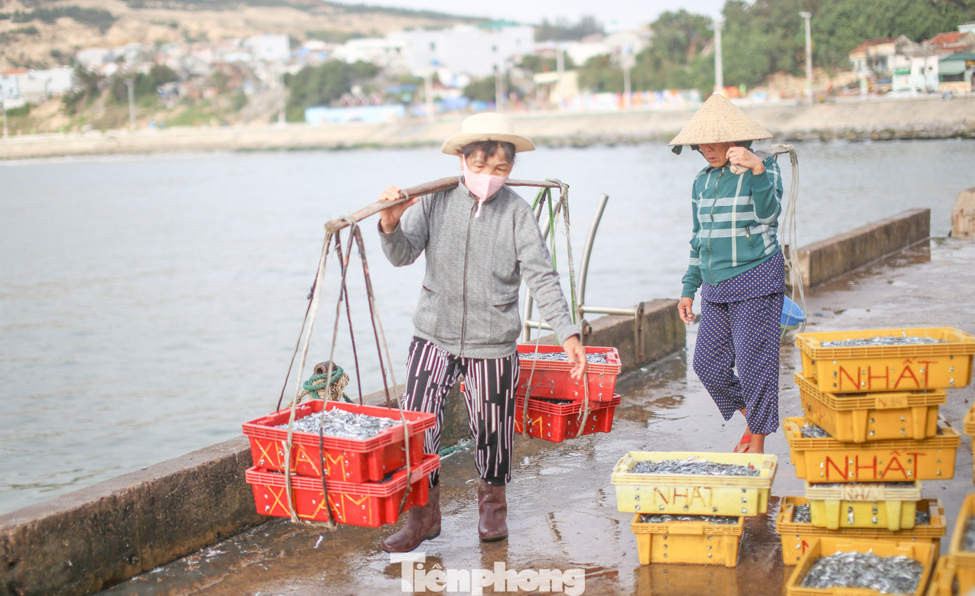 Theo ghi nhận của PV, trung bình mỗi tàu cập cảng thường mang về từ 15 - 20 két cá cơm. Giá bán dao động 150.000 - 200.000 đồng/két (két cá cơm nặng khoảng 10 - 12 kg). Ảnh: Trương Định